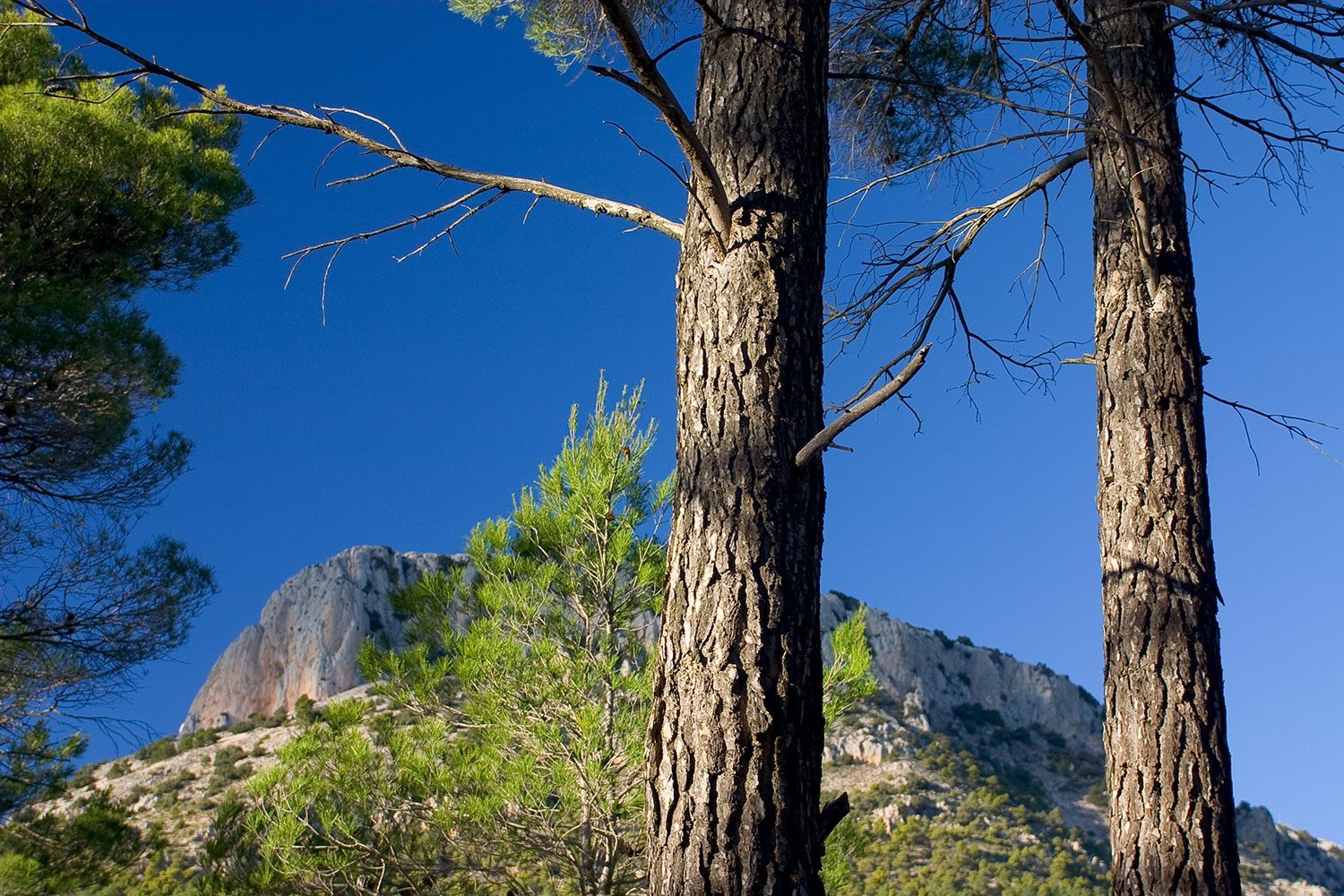 Paisaje de Sierra Espuña